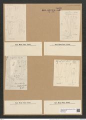 Licmophora paradoxa var. australis (Kuetz.) Grun. (de-Toni-Nr.: Genus 86, Species 2970) Zeichnungen Sammlung Grunow Nr. 6033 (NHMW-BOT-W0374536)